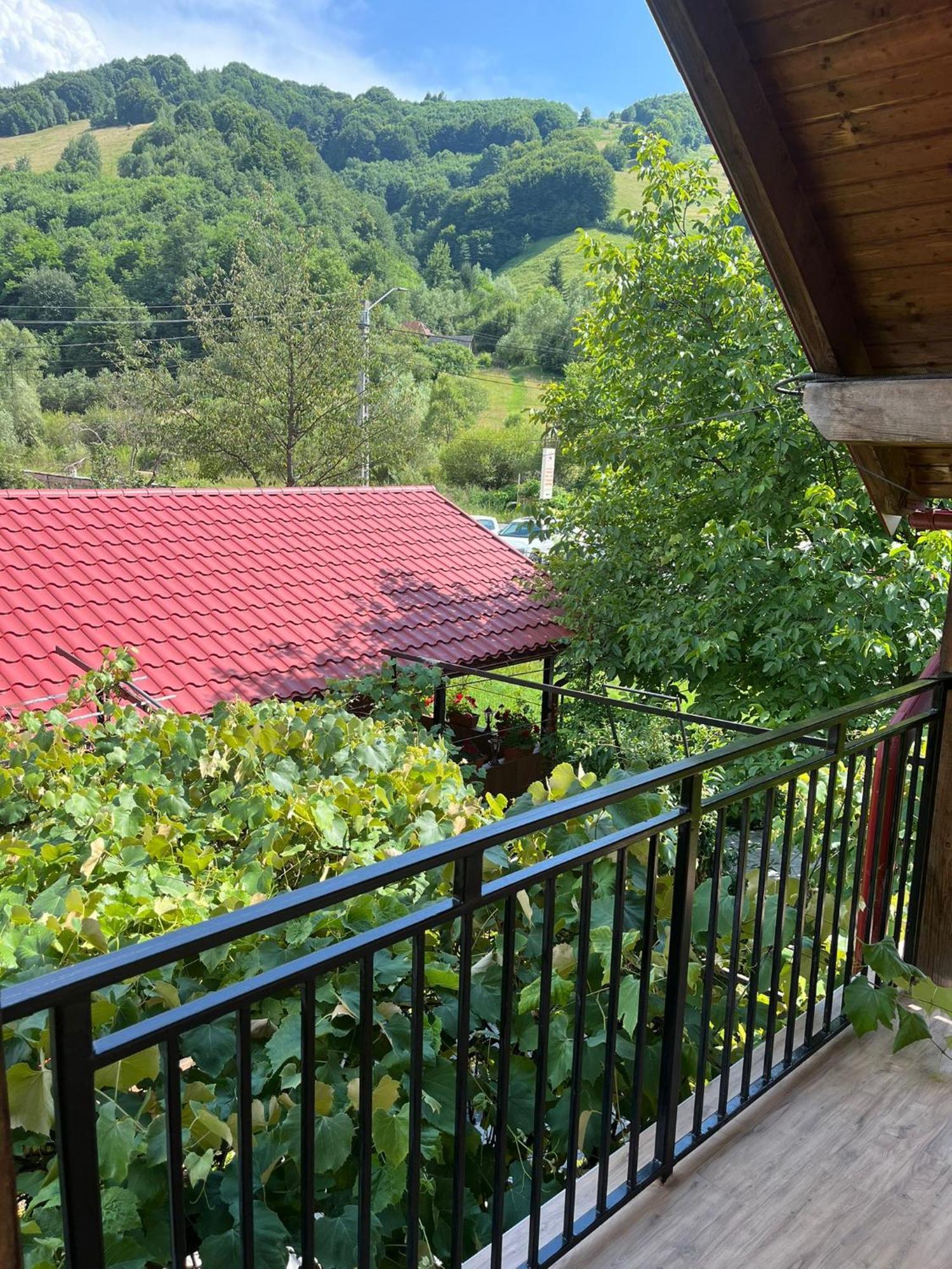 Kilometru108 Hotel Leordina Exterior foto